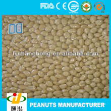 Erdnuss-Hersteller / blanchierte geröstete Erdnüsse in China